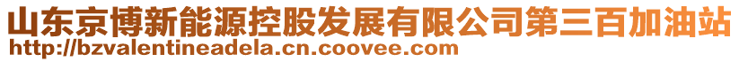 山東京博新能源控股發(fā)展有限公司第三百加油站