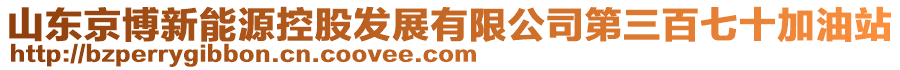 山東京博新能源控股發(fā)展有限公司第三百七十加油站