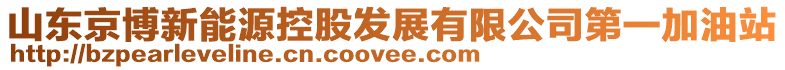 山東京博新能源控股發(fā)展有限公司第一加油站