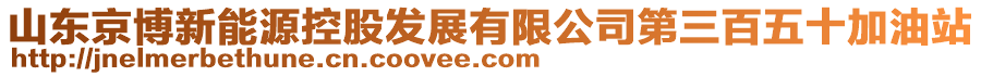 山東京博新能源控股發(fā)展有限公司第三百五十加油站