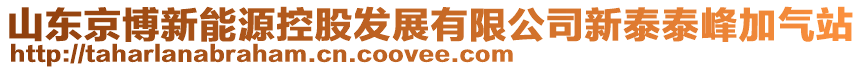 山東京博新能源控股發(fā)展有限公司新泰泰峰加氣站