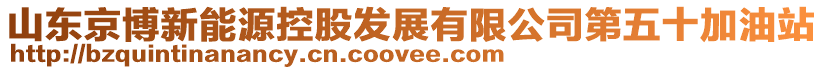 山東京博新能源控股發(fā)展有限公司第五十加油站