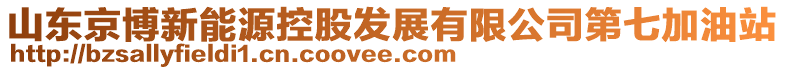 山東京博新能源控股發(fā)展有限公司第七加油站