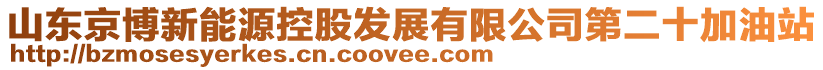 山東京博新能源控股發(fā)展有限公司第二十加油站