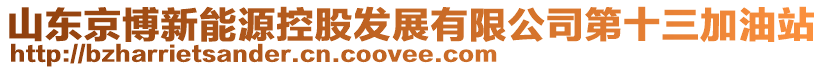 山東京博新能源控股發(fā)展有限公司第十三加油站