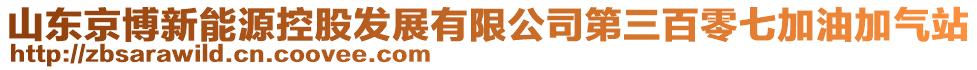 山東京博新能源控股發(fā)展有限公司第三百零七加油加氣站