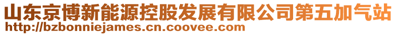 山東京博新能源控股發(fā)展有限公司第五加氣站