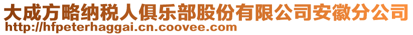大成方略納稅人俱樂部股份有限公司安徽分公司