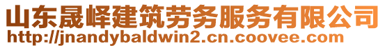 山東晟嶧建筑勞務服務有限公司