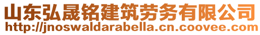 山東弘晟銘建筑勞務(wù)有限公司