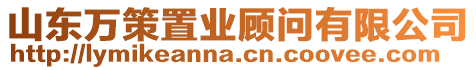 山東萬策置業顧問有限公司