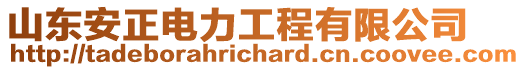 山東安正電力工程有限公司