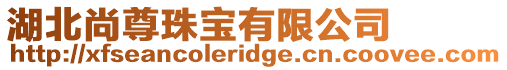 湖北尚尊珠寶有限公司