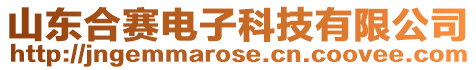 山東合賽電子科技有限公司