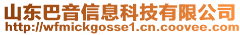 山東巴音信息科技有限公司