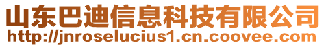 山東巴迪信息科技有限公司