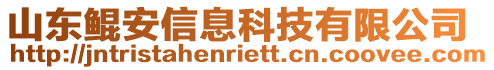 山東鯤安信息科技有限公司