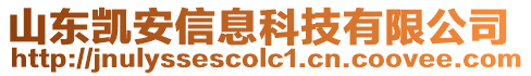 山東凱安信息科技有限公司