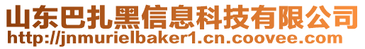 山東巴扎黑信息科技有限公司