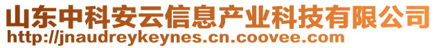 山東中科安云信息產(chǎn)業(yè)科技有限公司