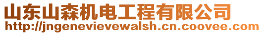 山東山森機(jī)電工程有限公司