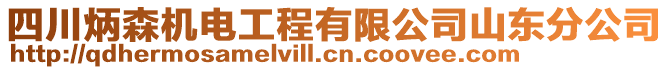 四川炳森機電工程有限公司山東分公司