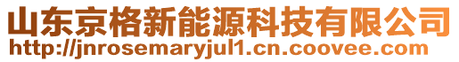 山東京格新能源科技有限公司