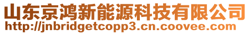 山東京鴻新能源科技有限公司