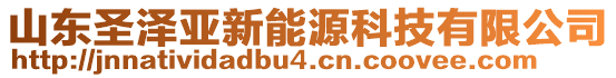 山東圣澤亞新能源科技有限公司