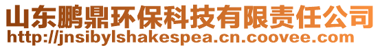 山東鵬鼎環(huán)?？萍加邢挢?zé)任公司