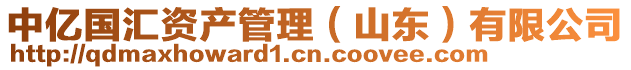 中億國匯資產管理(山東)有限公司