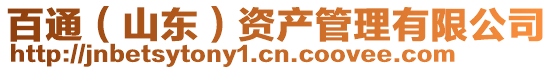 百通(山東)資產管理有限公司