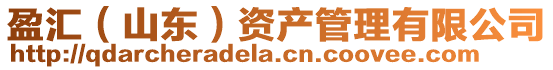 盈匯(山東)資產管理有限公司