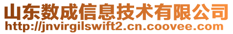 山東數(shù)成信息技術(shù)有限公司