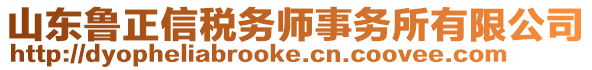 山東魯正信稅務師事務所有限公司