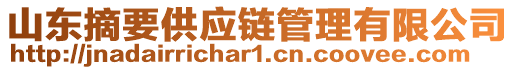 山東摘要供應(yīng)鏈管理有限公司