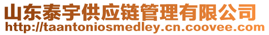 山東泰宇供應(yīng)鏈管理有限公司