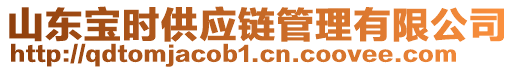 山東寶時供應(yīng)鏈管理有限公司