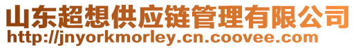 山東超想供應(yīng)鏈管理有限公司