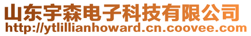 山東宇森電子科技有限公司