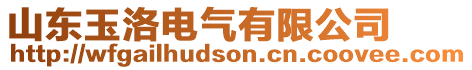 山東玉洛電氣有限公司