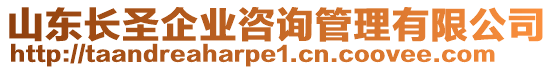 山東長圣企業(yè)咨詢管理有限公司