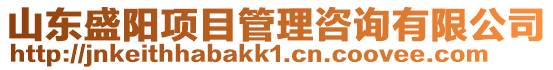 山東盛陽(yáng)項(xiàng)目管理咨詢有限公司