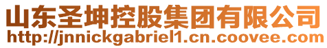 山東圣坤控股集團有限公司