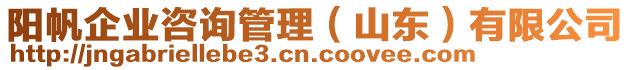 陽(yáng)帆企業(yè)咨詢(xún)管理（山東）有限公司