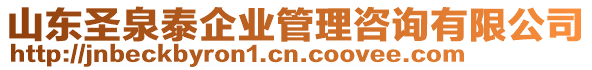 山東圣泉泰企業(yè)管理咨詢有限公司