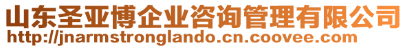 山東圣亞博企業(yè)咨詢管理有限公司