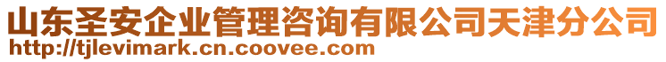 山東圣安企業(yè)管理咨詢有限公司天津分公司