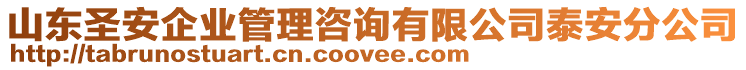 山東圣安企業(yè)管理咨詢有限公司泰安分公司