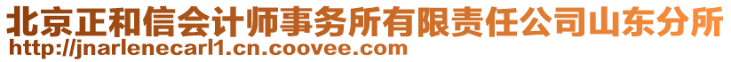 北京正和信會計師事務所有限責任公司山東分所